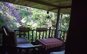 Casa Hospedaje Tingomaria